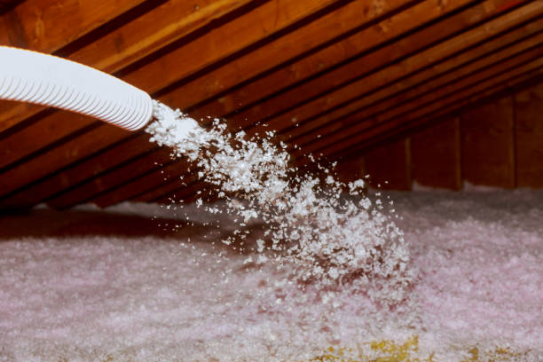 Best Insulation Maintenance and Repair in New Plymouth, ID