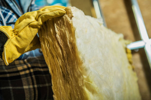 Best Commercial Insulation in New Plymouth, ID